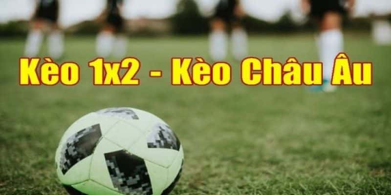 Bỏ túi kinh nghiệm thắng lớn liên tục với cược 3 cửa