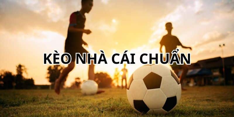 Kèo Nhà Cái Chuẩn Là Thế Nào? Chi Tiết Từ A-Z Cùng PG88